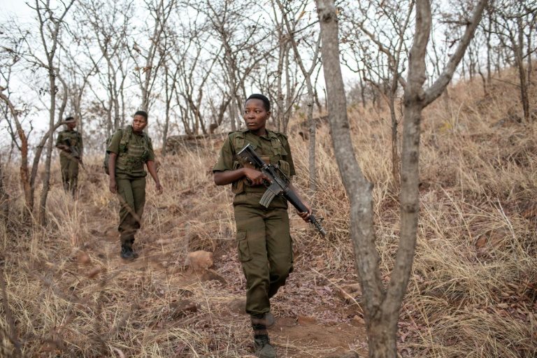 The ‘Brave Ones’: Zimbabwe’s women-only rangers fighting poaching