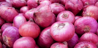 Maximum retail price for Big Onions