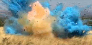 Boy or girl? US parents go too far in gender reveals