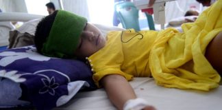 Bacterial allies make dengue fever cases dive