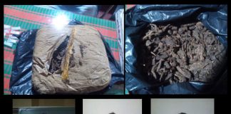 Three drug peddlers nabbed in Kiribathgoda