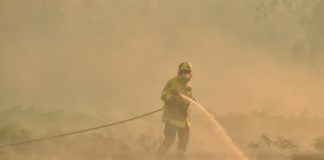 Australia bushfires renew anger over climate change