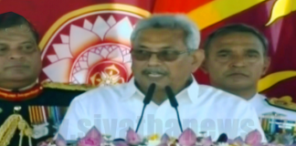 I will establish new govt. to execute my policies – President Gotabaya