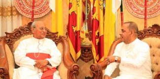 Cardinal calls for environment-friendly projects to generate electricity