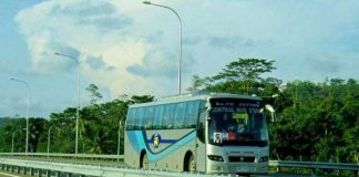 Expressway bus fares slashed