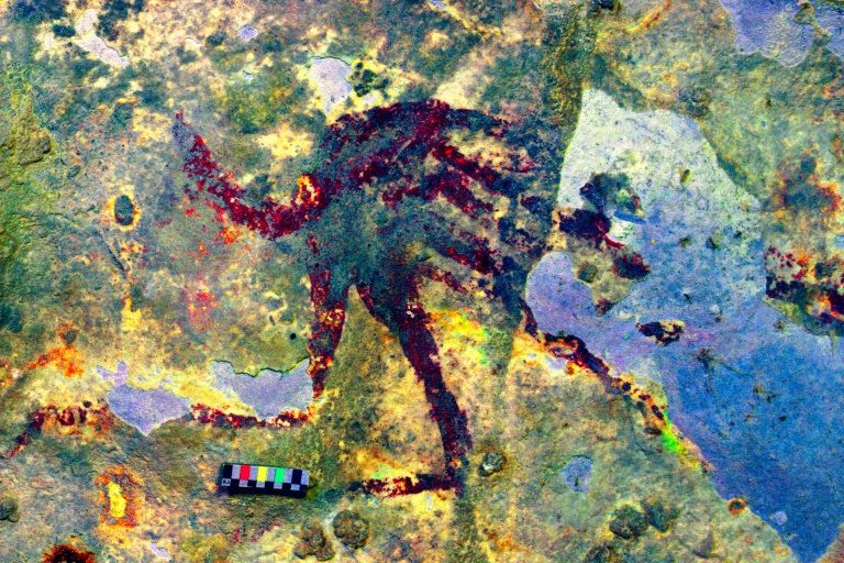 World’s oldest artwork uncovered in Indonesian cave: study