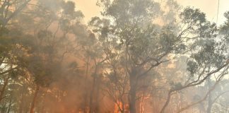 Australia has its hottest day on record, more to come