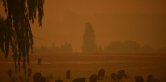 Dust storms and giant hail batter bushfire-weary Australia