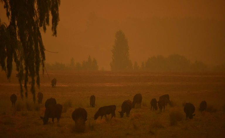 Dust storms and giant hail batter bushfire-weary Australia