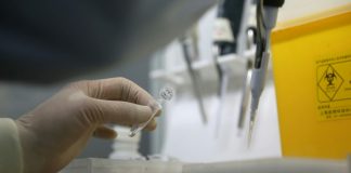 China believes new virus behind mystery pneumonia outbreak