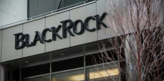 A look at global investment juggernaut BlackRock