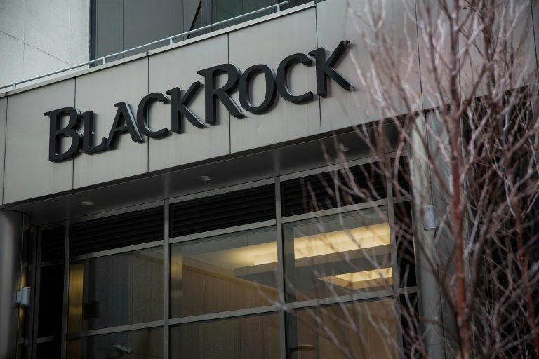 A look at global investment juggernaut BlackRock