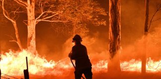 Australia scrambles to reach thousands stranded by bushfires