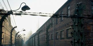 How the world discovered the Nazi death camps