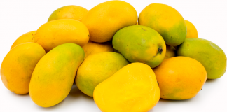 New mango variety discovered
