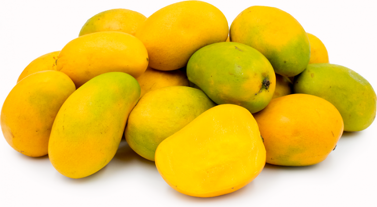 New mango variety discovered
