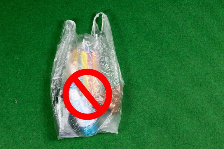 Kandy to be made a city free of polythene