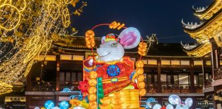 Year of Rat hails easy ride for Trump but bumps for Harry and Meghan