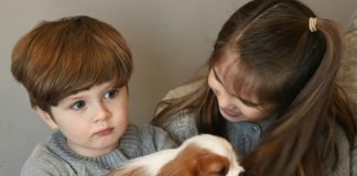 The ‘supercells’ that cured an infant’s grave genetic illness