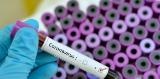 Coronavirus: Aussie scientists claim breakthrough
