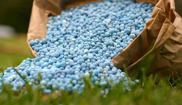 Carbonic fertilizer from invasive plants