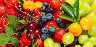 Visitors can now purchase approved food to feed animals at Dehiwala Zoo