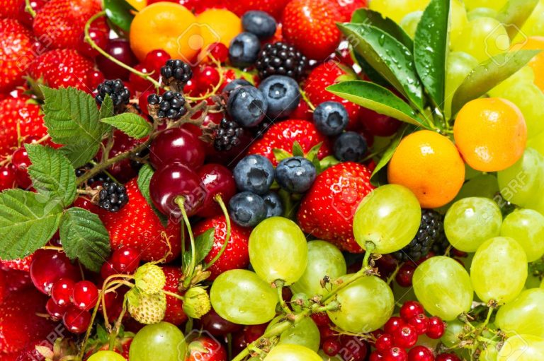 Visitors can now purchase approved food to feed animals at Dehiwala Zoo