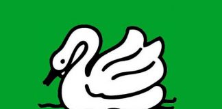 UNP-led alliance ‘Samagi Jana Balawegaya’ to contest under ‘Swan’