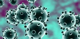 Coronavirus: First death confirmed in India