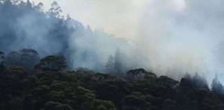 Fire breaks out at Singamale Mountain reserve