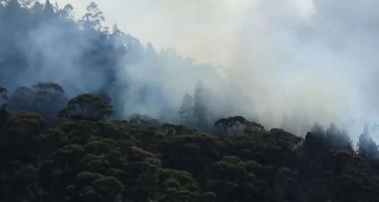 Fire breaks out at Singamale Mountain reserve