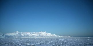 Antarctica registers record temperature of over 20 C