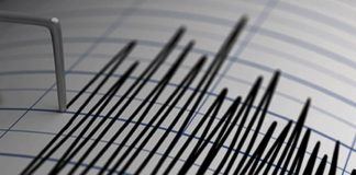 Tremor felt in Galle, Matara, Colombo: DMC