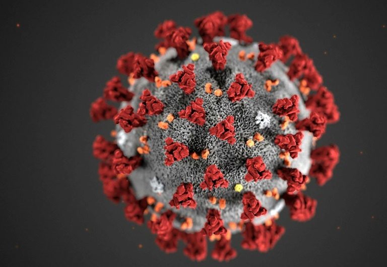US working with drug firm on new coronavirus treatment