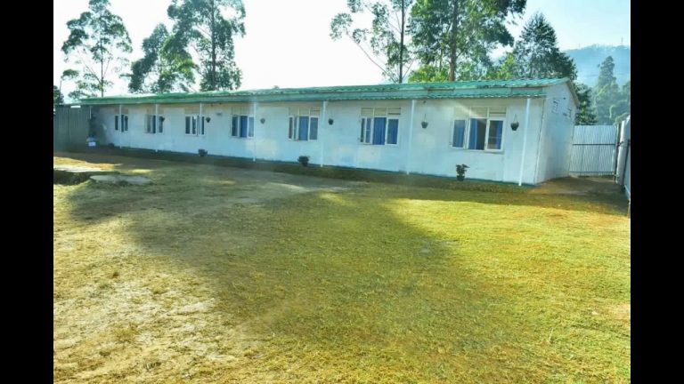 33 Sri Lankans quarantined at Diyatalawa to return home