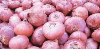 Raids to nab vendors selling big onions over controlled price