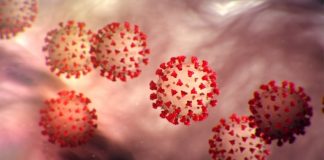 COVID-19: Cases tally at 309 as five from Bandaranayake Mw test positive