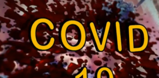 COVID-19 cases in Sri Lanka climb to 43