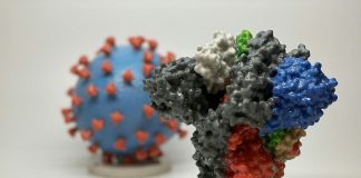 Italy coronavirus deaths rise by record 475 in a day