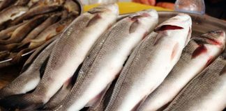 Levy imposed on imported fish upped to Rs. 150 per kilo