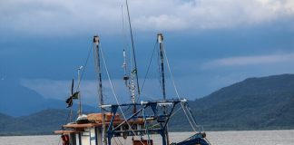 Those engaged in the fisheries sector also allowed to transport their catch to markets during curfew hours