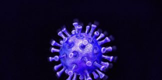 Five more Covid-19 cases moves total to 3,097