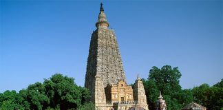 Dambadiva tours to be temporarily suspended