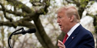 Peak US death rate likely in two weeks: Trump