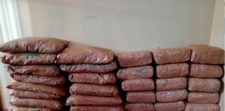 Suspect transporting 114kg of Kerala cannabis by boat arrested
