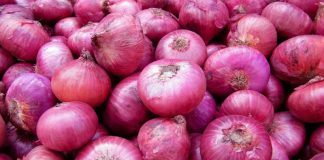Government to import big onions from India