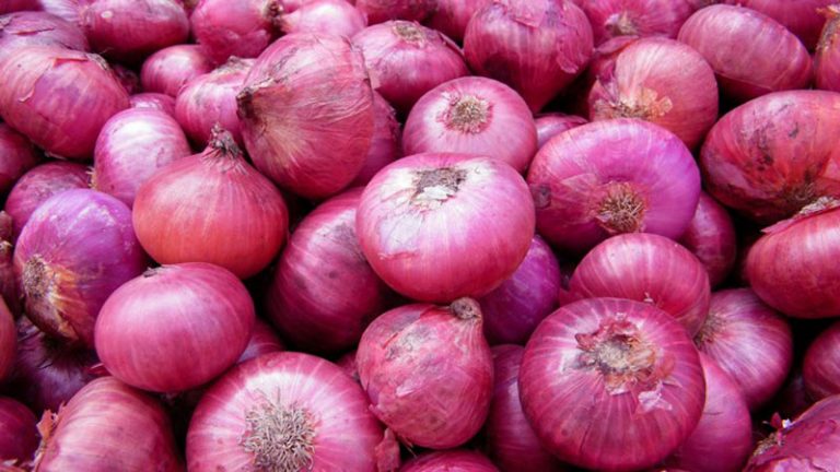 Government to import big onions from India