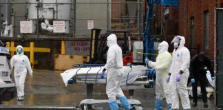 US could start reopening in May, top virus advisor says