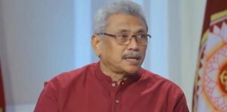 COVID-19 outbreak a good economic opportunity – President