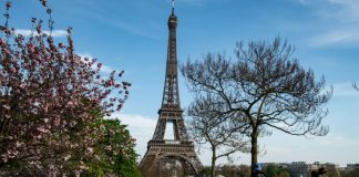 French economy shrinks 6% in Q1: Bank of France